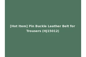 [Hot Item] Pin Buckle Leather Belt for Trousers (HJ15012)