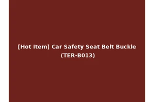 [Hot Item] Car Safety Seat Belt Buckle (TER-B013)