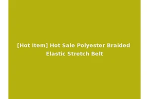 [Hot Item] Hot Sale Polyester Braided Elastic Stretch Belt