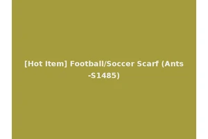 [Hot Item] Football/Soccer Scarf (Ants-S1485)