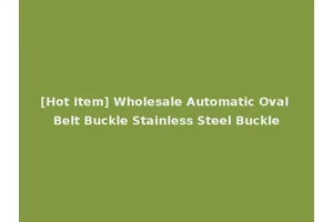 [Hot Item] Wholesale Automatic Oval Belt Buckle Stainless Steel Buckle