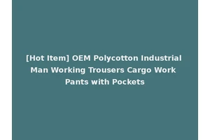 [Hot Item] OEM Polycotton Industrial Man Working Trousers Cargo Work Pants with Pockets
