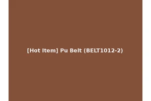[Hot Item] Pu Belt (BELT1012-2)