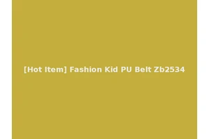 [Hot Item] Fashion Kid PU Belt Zb2534