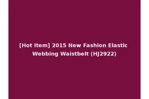 [Hot Item] 2015 New Fashion Elastic Webbing Waistbelt (HJ2922)
