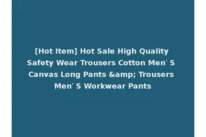 [Hot Item] Hot Sale High Quality Safety Wear Trousers Cotton Men′ S Canvas Long Pants &amp; Trousers Men′ S Workwear Pants