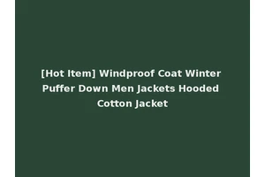 [Hot Item] Windproof Coat Winter Puffer Down Men Jackets Hooded Cotton Jacket