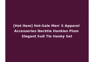 [Hot Item] Hot-Sale Men′ S Apparel Accessories Necktie Hankies Plum Elegant Suit Tie Hanky Set