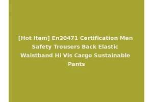 [Hot Item] En20471 Certification Men Safety Trousers Back Elastic Waistband Hi Vis Cargo Sustainable Pants