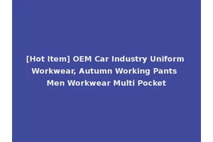 [Hot Item] OEM Car Industry Uniform Workwear, Autumn Working Pants Men Workwear Multi Pocket