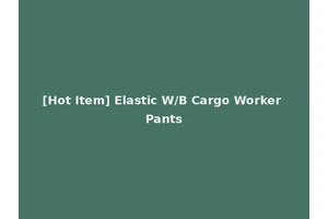 [Hot Item] Elastic W/B Cargo Worker Pants