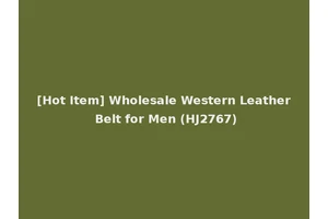 [Hot Item] Wholesale Western Leather Belt for Men (HJ2767)