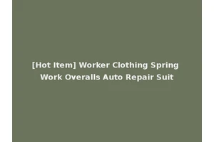 [Hot Item] Worker Clothing Spring Work Overalls Auto Repair Suit