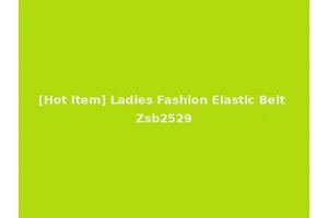 [Hot Item] Ladies Fashion Elastic Belt Zsb2529