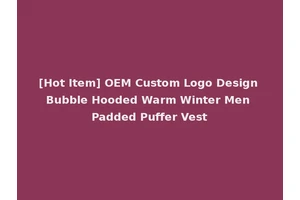 [Hot Item] OEM Custom Logo Design Bubble Hooded Warm Winter Men Padded Puffer Vest
