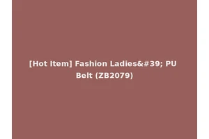 [Hot Item] Fashion Ladies' PU Belt (ZB2079)
