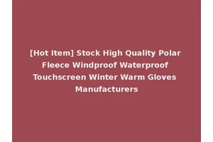 [Hot Item] Stock High Quality Polar Fleece Windproof Waterproof Touchscreen Winter Warm Gloves Manufacturers