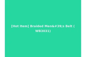 [Hot Item] Braided Men's Belt (WB3031)