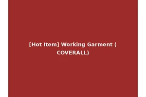 [Hot Item] Working Garment (COVERALL)
