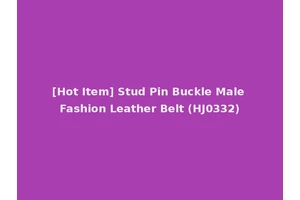[Hot Item] Stud Pin Buckle Male Fashion Leather Belt (HJ0332)