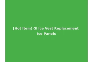 [Hot Item] Gl Ice Vest Replacement Ice Panels
