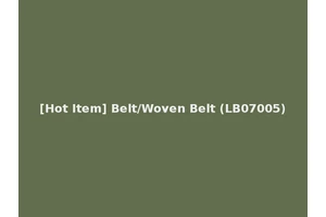 [Hot Item] Belt/Woven Belt (LB07005)