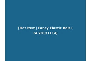 [Hot Item] Fancy Elastic Belt (GC20121114)