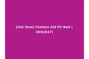 [Hot Item] Fashion Kid PU Belt (ZKB2837)