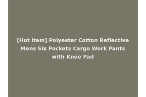 [Hot Item] Polyester Cotton Reflective Mens Six Pockets Cargo Work Pants with Knee Pad