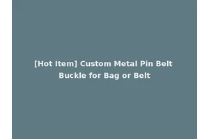 [Hot Item] Custom Metal Pin Belt Buckle for Bag or Belt