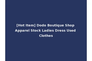 [Hot Item] Dodo Boutique Shop Apparel Stock Ladies Dress Used Clothes