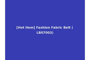[Hot Item] Fashion Fabric Belt (LB07003)