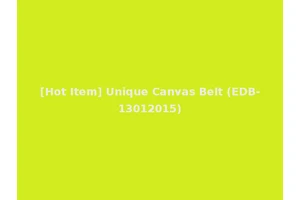 [Hot Item] Unique Canvas Belt (EDB-13012015)