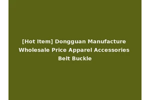 [Hot Item] Dongguan Manufacture Wholesale Price Apparel Accessories Belt Buckle