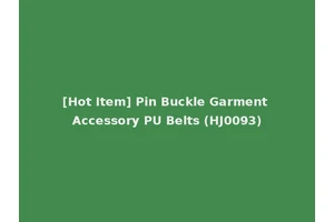 [Hot Item] Pin Buckle Garment Accessory PU Belts (HJ0093)