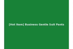 [Hot Item] Business Gentle Suit Pants