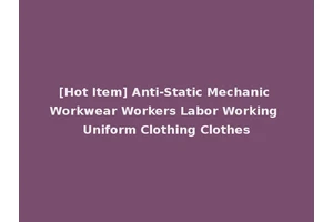 [Hot Item] Anti-Static Mechanic Workwear Workers Labor Working Uniform Clothing Clothes