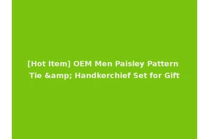 [Hot Item] OEM Men Paisley Pattern Tie &amp; Handkerchief Set for Gift