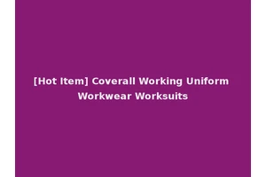[Hot Item] Coverall Working Uniform Workwear Worksuits