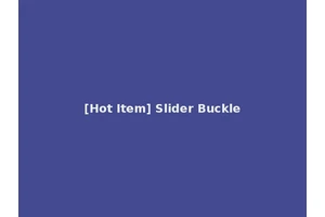 [Hot Item] Slider Buckle