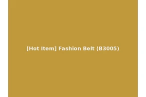 [Hot Item] Fashion Belt (B3005)