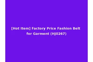 [Hot Item] Factory Price Fashion Belt for Garment (HJ0267)