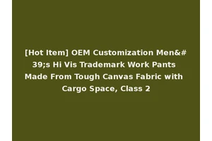 [Hot Item] OEM Customization Men's Hi Vis Trademark Work Pants Made From Tough Canvas Fabric with Cargo Space, Class 2