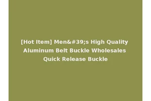 [Hot Item] Men's High Quality Aluminum Belt Buckle Wholesales Quick Release Buckle