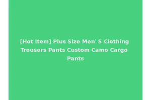 [Hot Item] Plus Size Men′ S Clothing Trousers Pants Custom Camo Cargo Pants