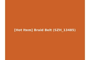 [Hot Item] Braid Belt (SZH_13485)