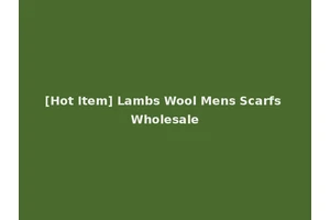 [Hot Item] Lambs Wool Mens Scarfs Wholesale