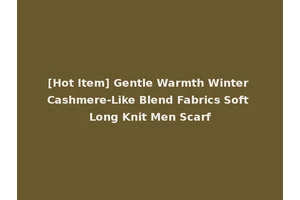 [Hot Item] Gentle Warmth Winter Cashmere-Like Blend Fabrics Soft Long Knit Men Scarf