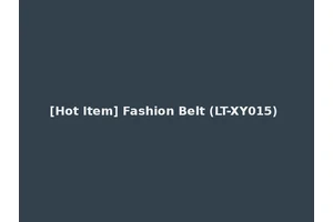 [Hot Item] Fashion Belt (LT-XY015)