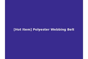 [Hot Item] Polyester Webbing Belt